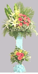 Flower congrats