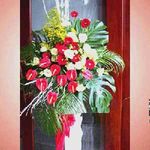 Flower Congratulations