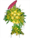 Flower congratulations