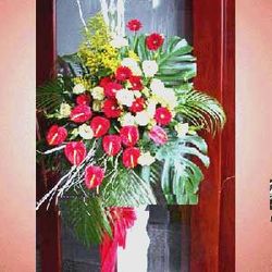 Flower Congratulations