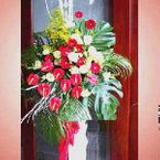 Flower Congratulations