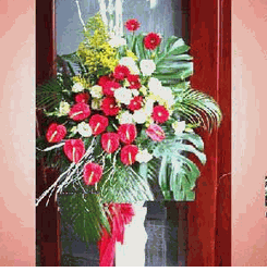 Flower Congratulations