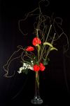 Flower For Saigon Hotel, office, club, restaurant -  Model 112