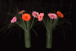 Flower For Saigon Hotel, office, club, restaurant - Model 113