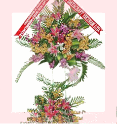 Flowers 11