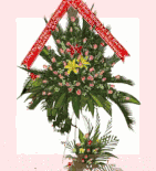 Flowers congart 11