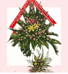 Flowers congart 11
