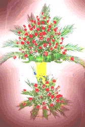 Click to enlarge