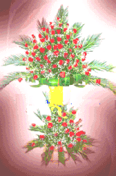 Flowers congrats 09