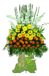Flowers congratulations