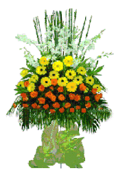 Flowers congratulations