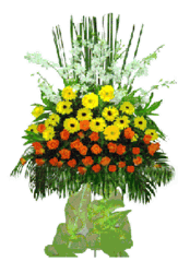 Flowers congratulations
