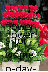 flowers-for-women-day-saigon florist3