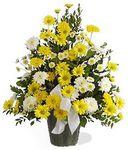 Flowers From The Meadow