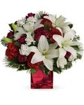 Flowers - Hoa ( I AM SORRY)