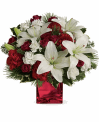 Flowers - Hoa ( I AM SORRY)