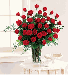 Four Dozen Red Roses 