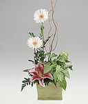 Fresh flowers and plants in a  container.
