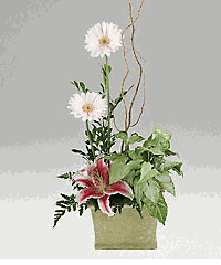 Fresh flowers and plants in a  container.