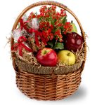 Fruit & Flowers