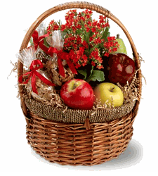 Fruit & Flowers
