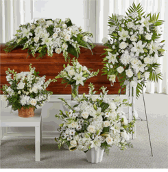 Hoa tang L�̃ -White flowers