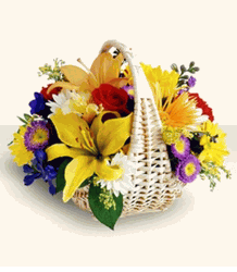 Garden Basket