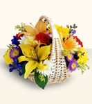 Garden Basket