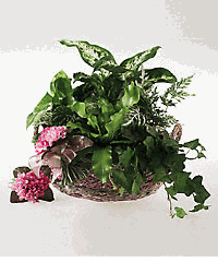 Garden planter for a baby girl.