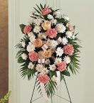 Gentle Thoughts Spray Lang Hoa Chia Buon