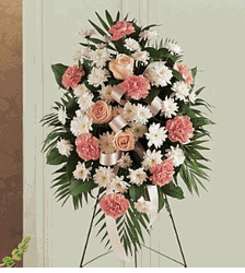 Gentle Thoughts Spray Lang Hoa Chia Buon