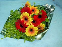 Gerbera Bouquet