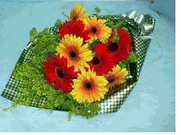 Gerbera Bouquet