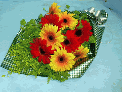 Gerbera Bouquet