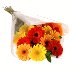 Gerbera_gift_wrap_small