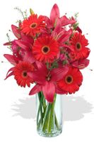 Gerberas and Lilies