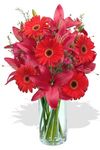 Gerberas and Lilies