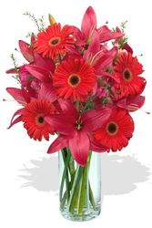 Gerberas and Lilies