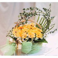 Gerberas Basket