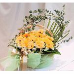 Gerberas Basket