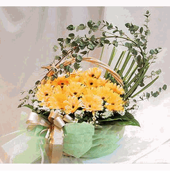 Gerberas Basket