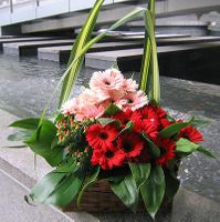 Gerberas Daisy Basket