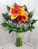Gerberas mixed colors