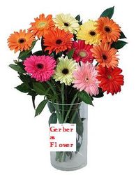 Gerberas vase