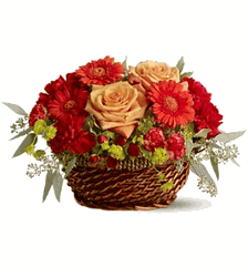 Get Well Flowers