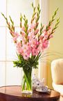 gladiolas 