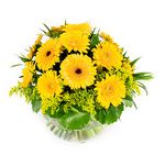 Glorious Gerberas