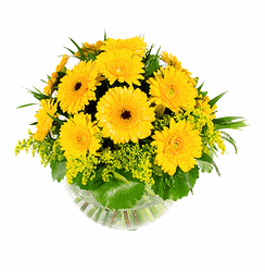 Glorious Gerberas