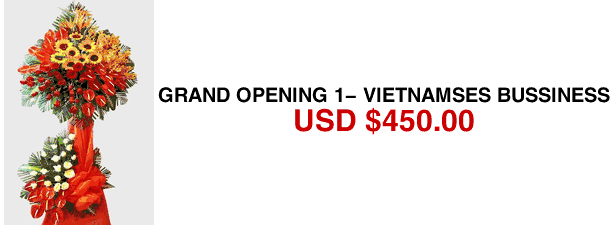 Grand Opening 1- Vietnamses Bussiness