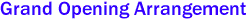 Grand Opening Arrangement 